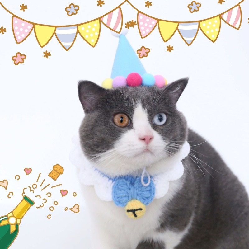 ★〓YUFeiPet〓★ Christmas Pet Hat Cat and Dog Felt Christmas Hat Adjustable Birthday Party Hat