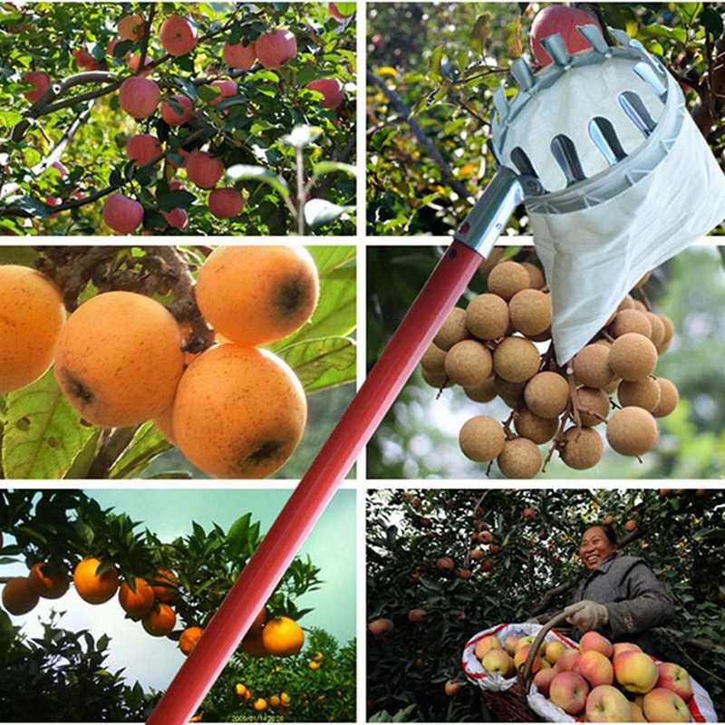 Alat Petik Pemetik Buah Logam Untuk Pertanian / Kebun / Alat Petik Buah / Pemanen Buah Fruit Picker Collection Tool