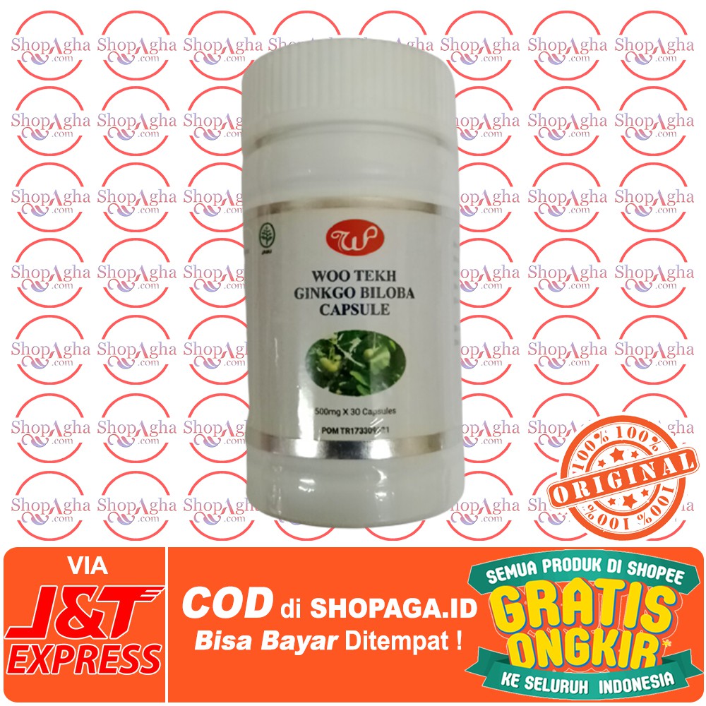 Ginkgo Biloba Woo Tekh - Obat Pintar Anti Pikun - 100% Original - Gratis Ongkir