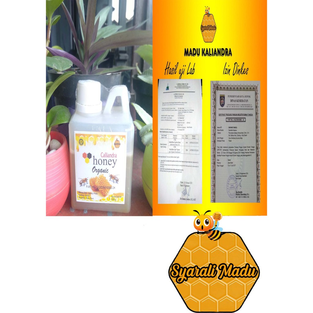 

Madu asli Kaliandra Raw honey 500 gr (kental)
