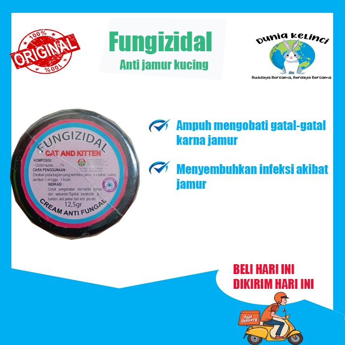 OBAT JAMUR KUCING FUNGIZIDAL ANTI JAMUR INFEKSI