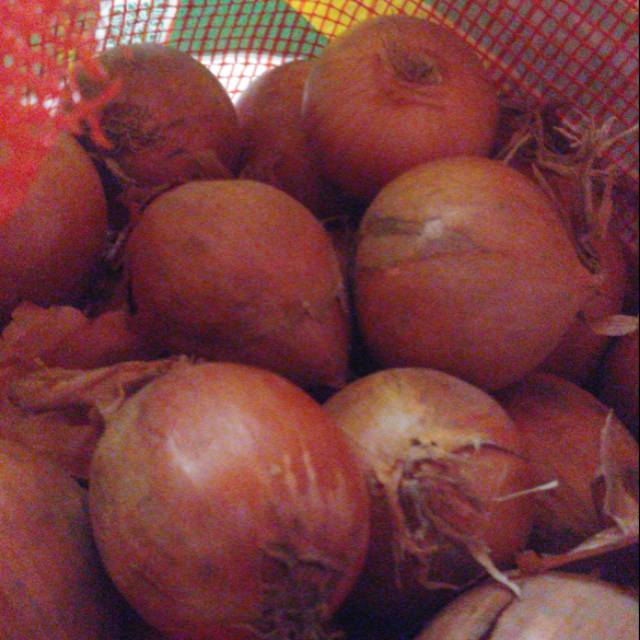 

Bawang Bombay 500 Gram
