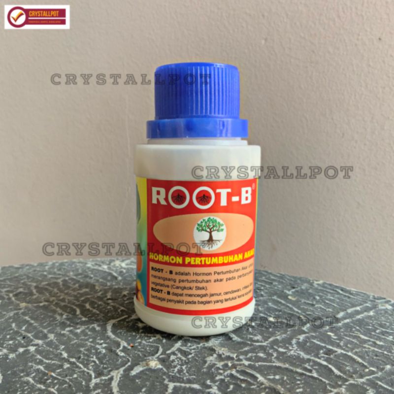 ROOT - B 100 GR pupuk pertumbuhan akar dan mencegah jamur pada tanaman