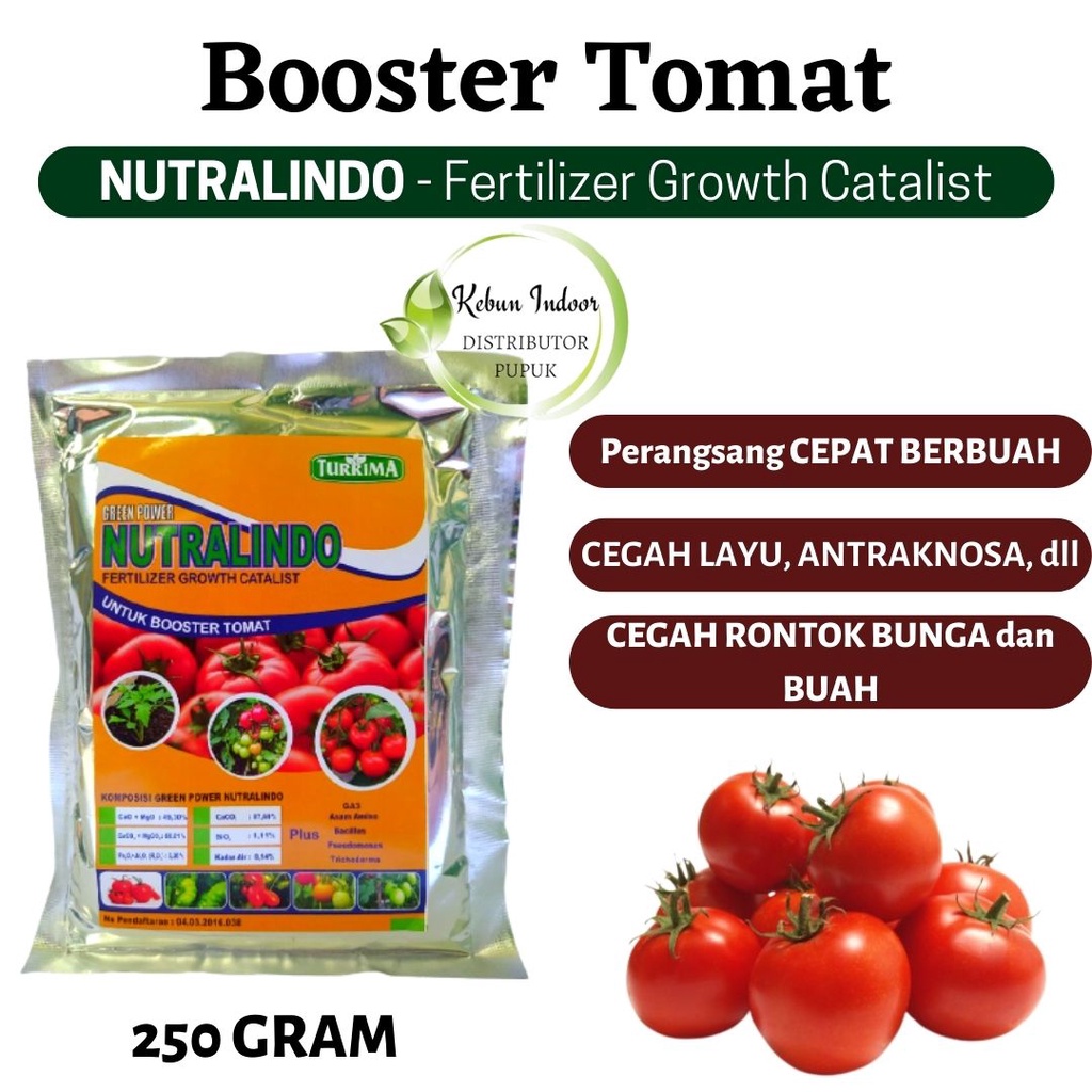 Pupuk Organik Booster Tomat Berbuah Lebat, Pupuk Pelebat Buah Tomat ANTI Layu Busuk Buah