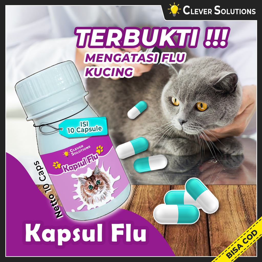 KAPSUL FLU 10 caps flu berat kucing obat flu ampuh fluend flucat doxycat mengatasi kucing flu dan pilek kucing by Clever Solutions furyou