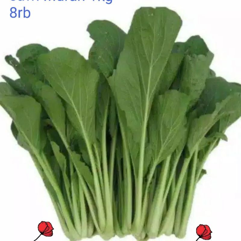 

sayuran sawi ijo cesim ijo sayur mayur