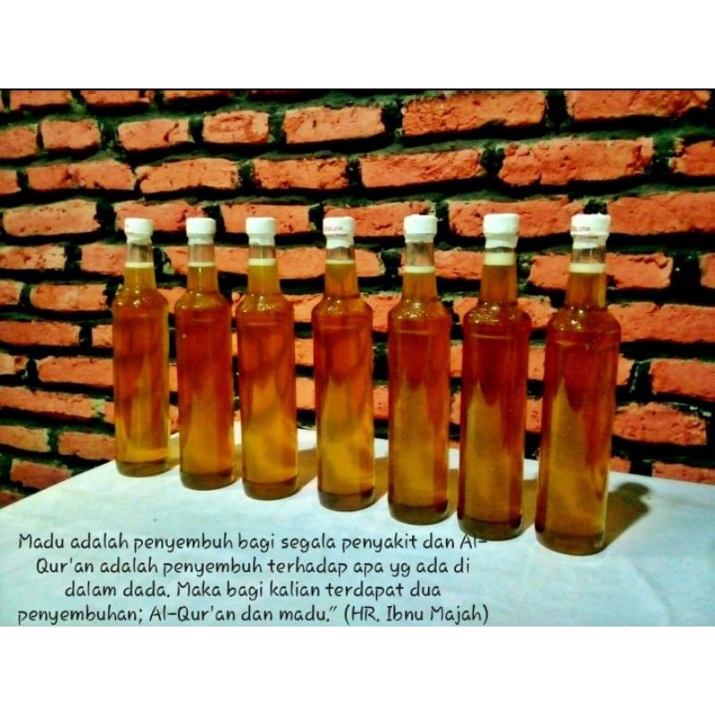

Madu Murni dari Lebah Asli