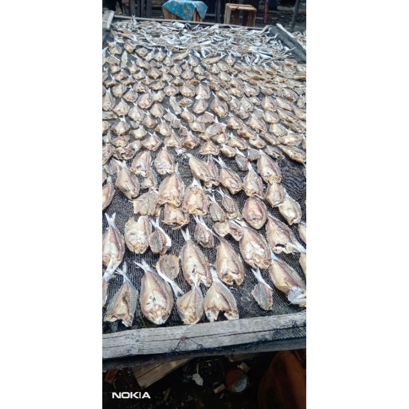 

ikan asin