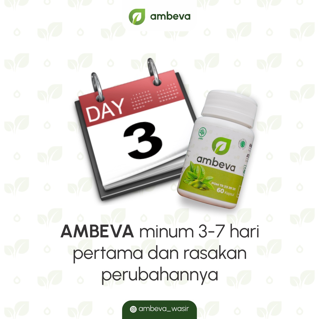 Ambeva obat ambeien mengempeskan benjolan ambeyen wasir berdarah stadium 4 herbal paling ampuh bpom original asli