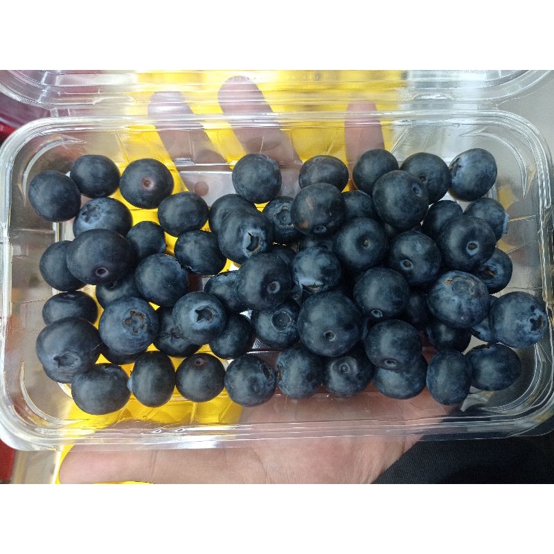 

Blueberry bluberi Royal jumbo new Zealand200 gr / pack