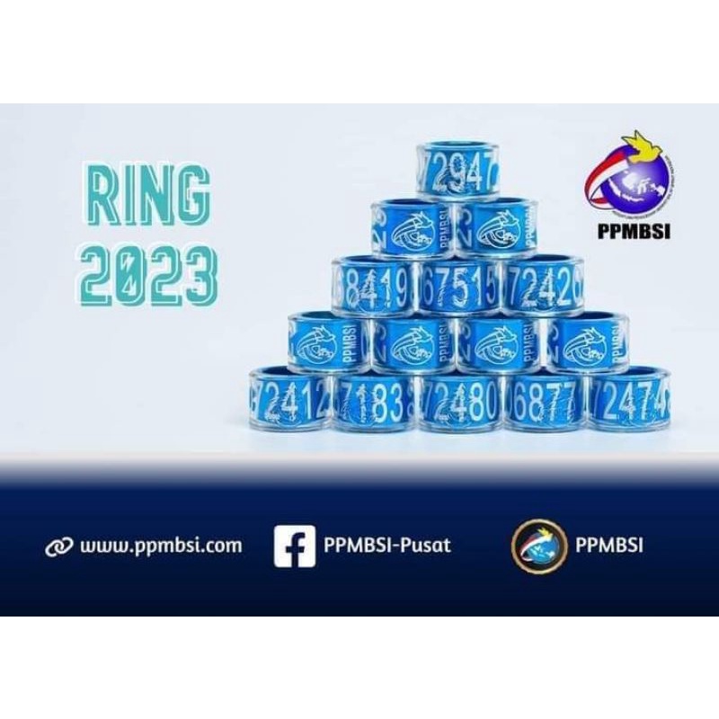 ring ppmbsi 2023