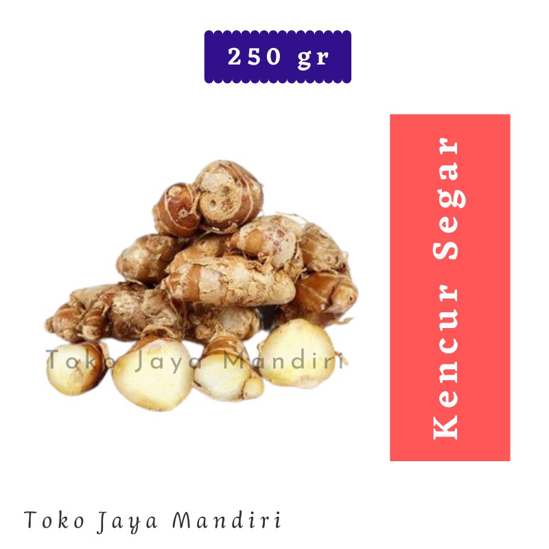 

Kencur Segar 250 gr