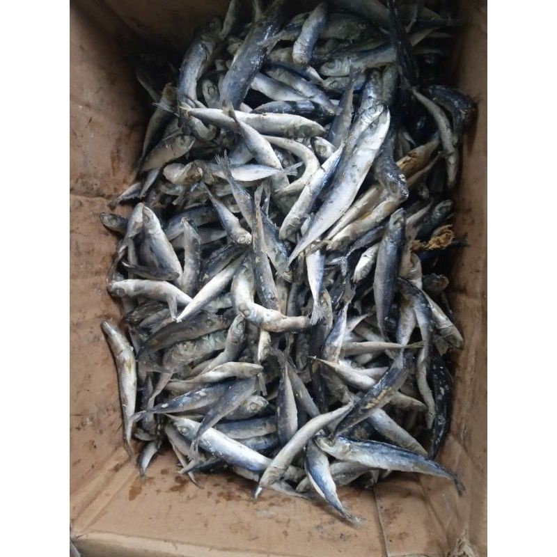 

IKAN ASIN LAYANG REBUS/ CUE ASIN 250gram