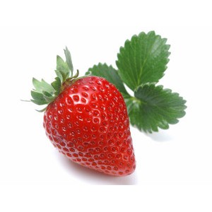 Bibit Buah Tanaman STRAWBERRY JUMBO