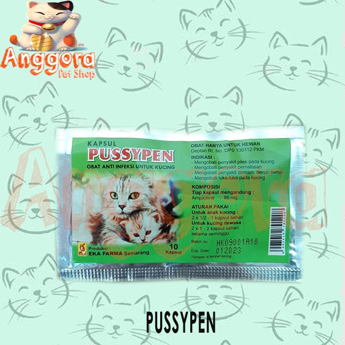 PUSSYPEN - Obat anti infeksi untuk kucing
