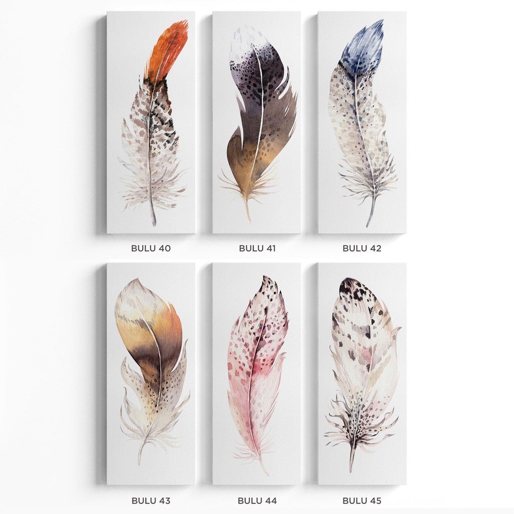 Lukisan Dekorasi Bulu Poster Kanvas Hiasan Dinding Feather 20x50cm Shopee Indonesia