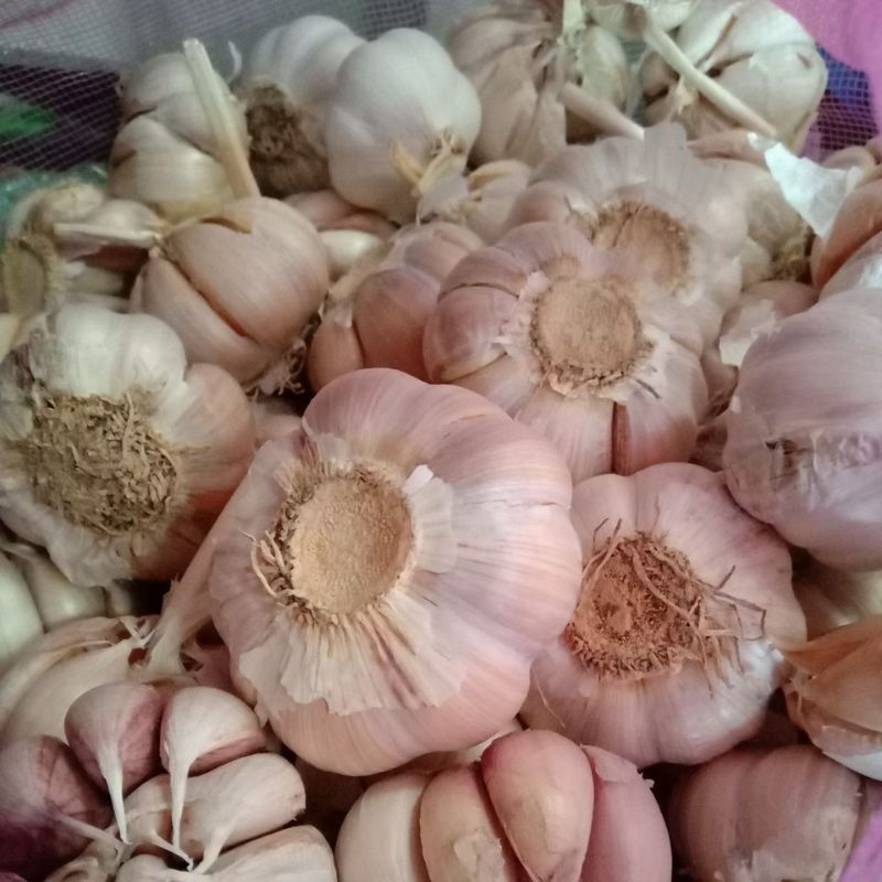 

Bawang Putih 150 Gram
