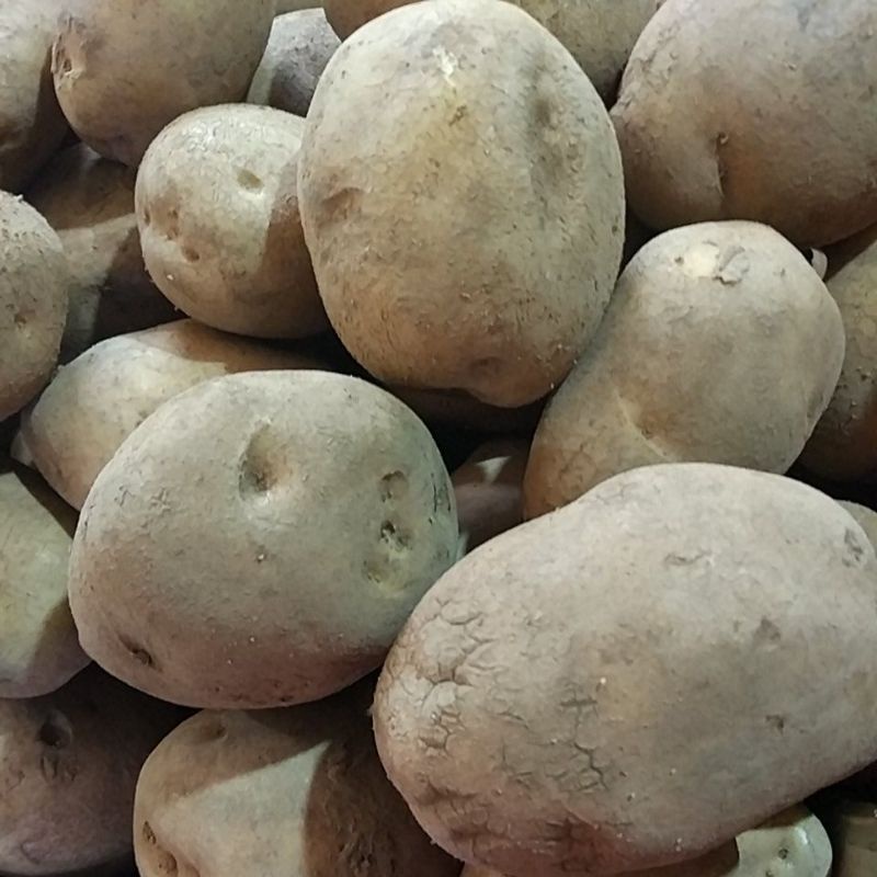 

Kentang 500gr