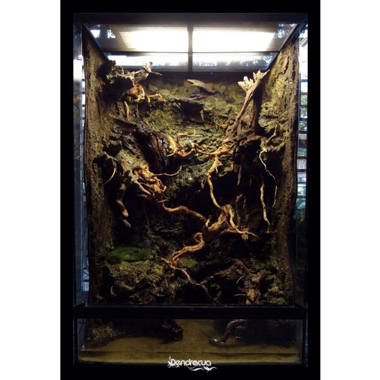 hardscape vivarium paludarium