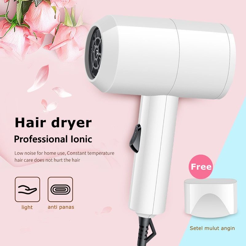 Alat Pengering Rambut Portable/Professional Ionic Hair Dryer