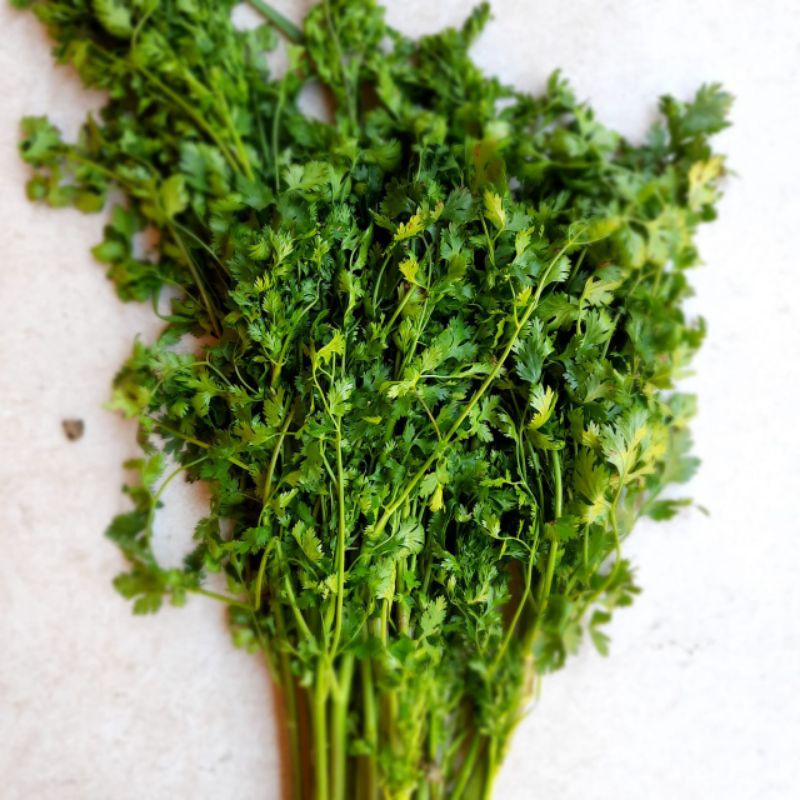 

organic coriander daun ketumbar 100gram