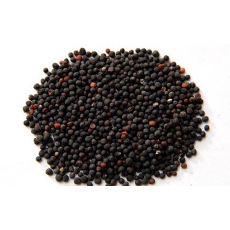 

100gr Herbal Wang Bu Liu Xing Zi 王不留行籽 Vaccaria Seed Cowherb Seed