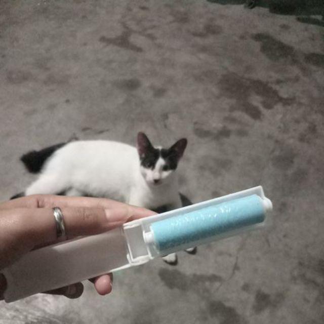 Pembersih Bulu Kucing Pembersih Debu Di Pakaian Wanita Pria Perawatan Pakaian Rumah Tangga 157