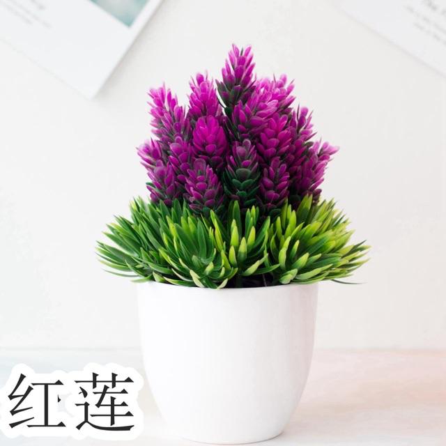 TIB / COD P2034 BUNGA PLASTIK/BUNGA PINUS/ BUNGA ARTIFISIAL PINUS MINI-Unggu