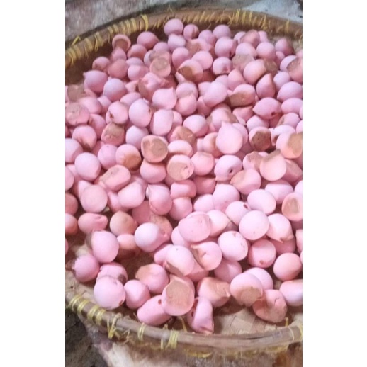 

nopia khas banyumas