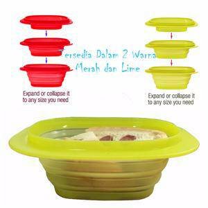 go flex  goflex rectangular (1pc)