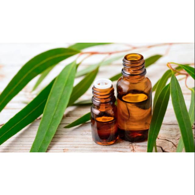 MINYAK KAYU PUTIH / MINYAH SEREH / 62.5 ML / HOMEMADE / KUALITAS EKSPOR /