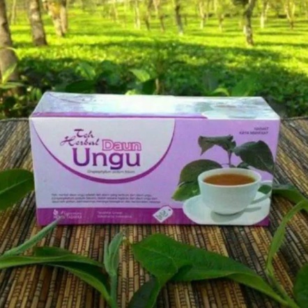 Teh Celup Daun Ungu Obat herbal khasiat ampuh mengobati ambeien wasir susah buang air besar dngan teh daun ungu original asli 100% herbal