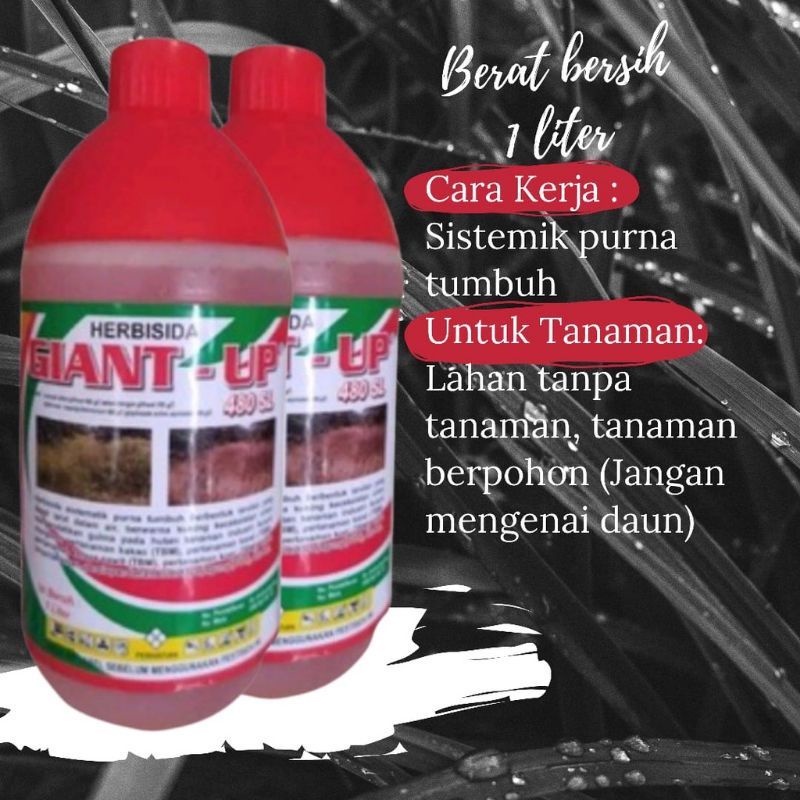 Herbisida Giant Up 480 SLKemasan 1Liter Sistemik Obat Rumput