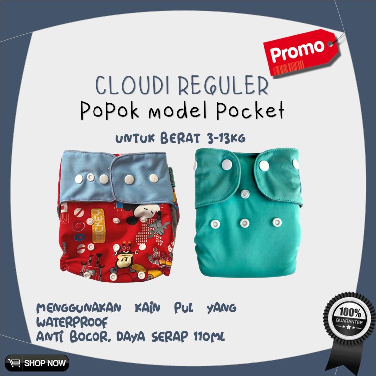 Cloudy Reguler Popok Kain Bayi Cuci Ulang Clodi Bayi Pocket Cloudi Bahan PUL
