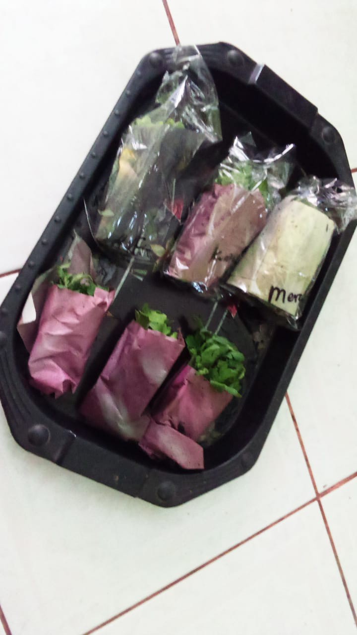 Tanaman Hias Bibit Bunga Krisan Paket 65 Pcs