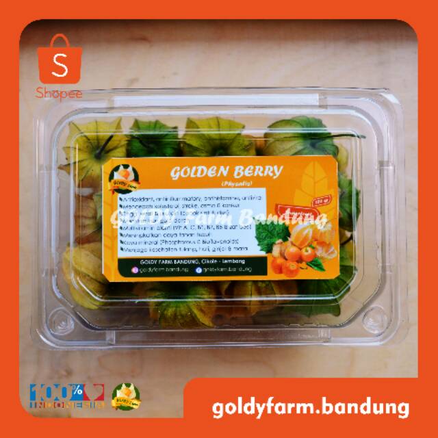 

GOLDY (Goldenberry/Physalis/Ciplukan/Cecendet) Fresh
