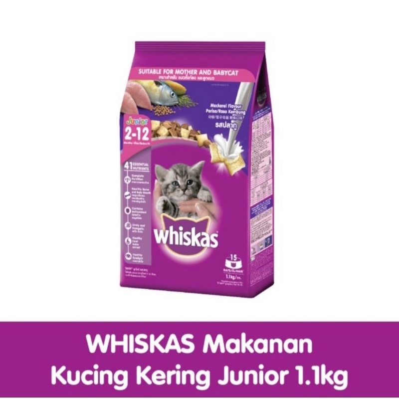 Whiskas Junior Dry food 1,1 kg