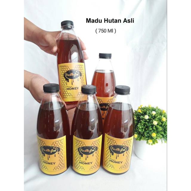 

Madu hutan