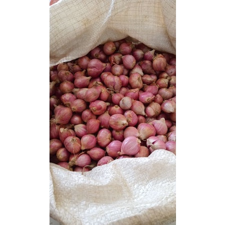 

Bawang merah kering murah 500- 1000 gram