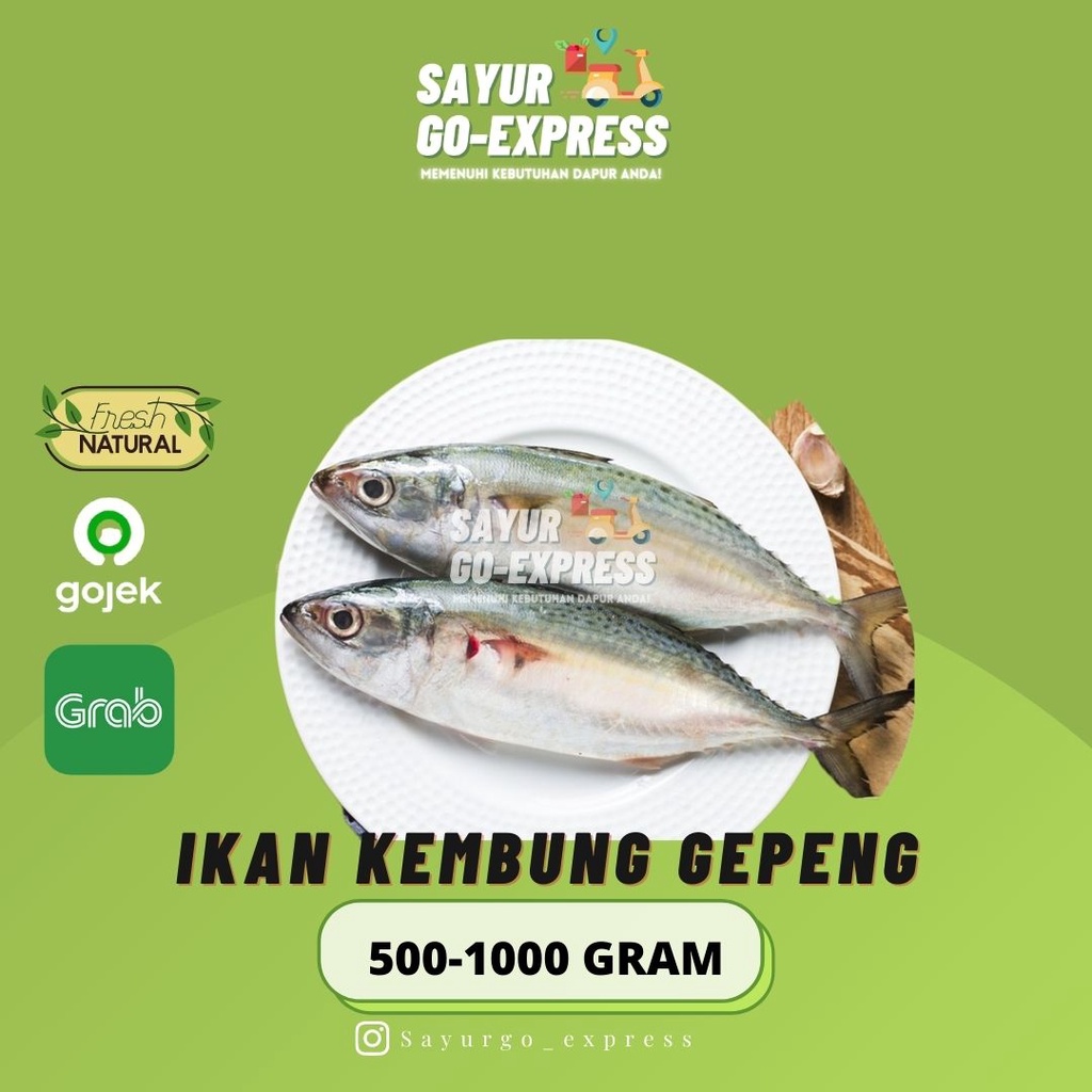 

Ikan Kembung Gepeng Segar 500 - 1000 gram