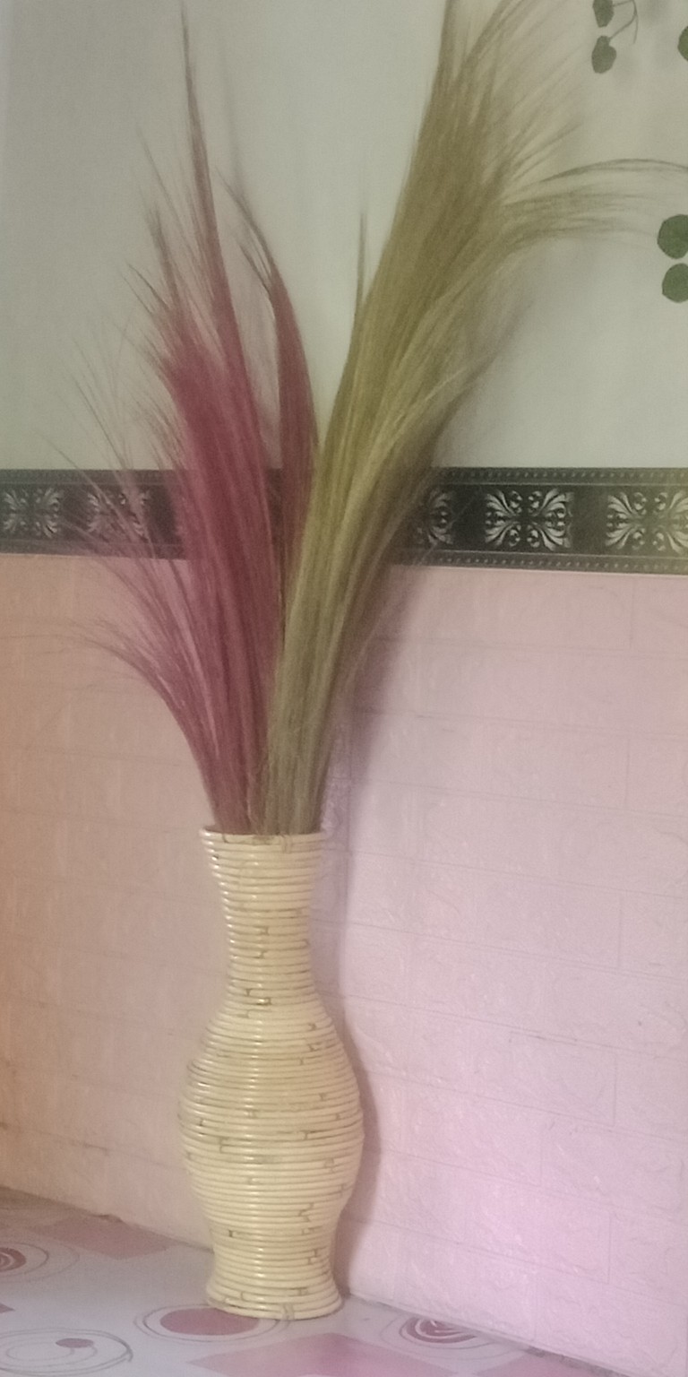 Daun Palm Kering Ukuran 30cm | Dried Palm Leaves | Dried Flowers