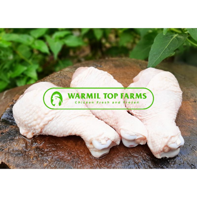 

Paha Pentung 500gr Daging Ayam Potong Segar Fresh Frozen Chicken Drumstick Paha Bawah Murah
