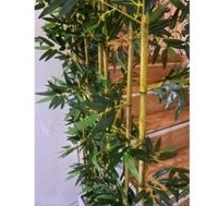 Bambu artificial tinggi / Bambu pembatas / Bunga Sudut