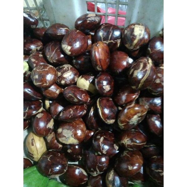 

Jengkol (500 gram)