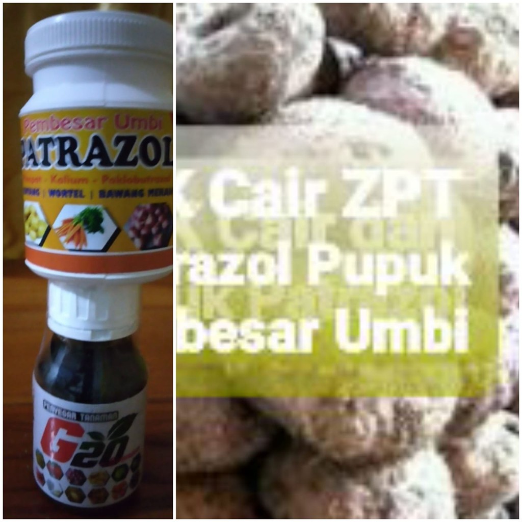 Pupuk NPK Cair Untuk Porang Terbaik dan Pembesar Umbi Pupuk NPK Cair Untuk Porang Terbaik dan Pembesar Umbi