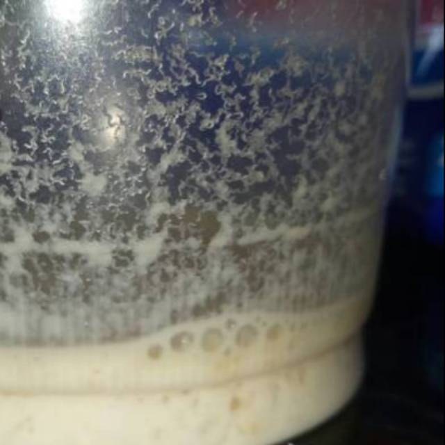 

Paket kultur Microworm pakan burayak cupang betta