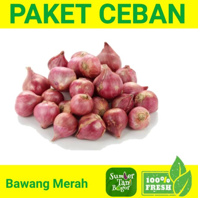 

BAWANG MERAH PER PACK PAKET CEBAN