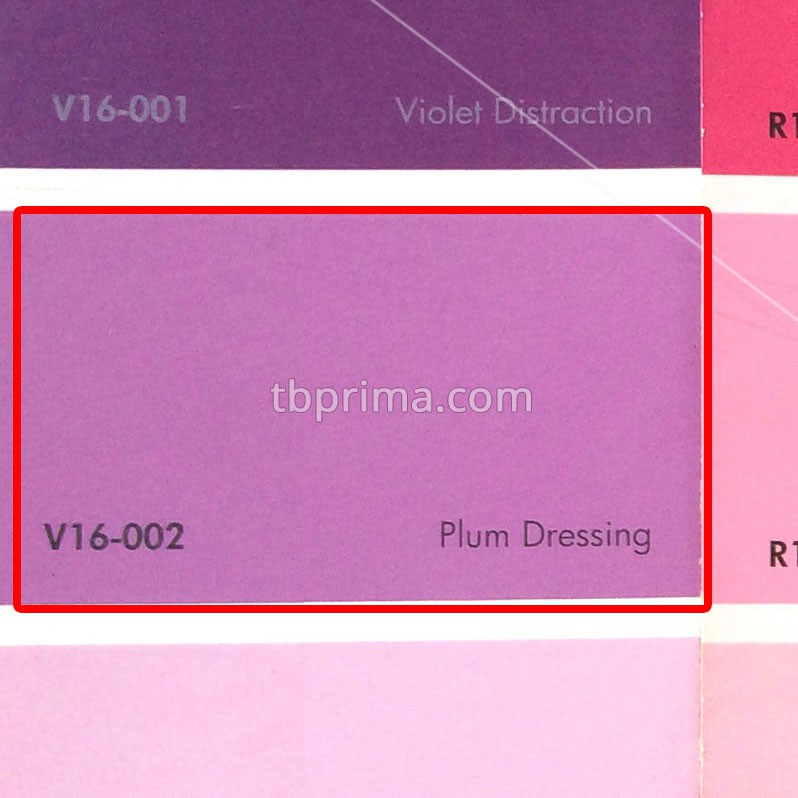 No Drop Tinting V16-002 Plum Dressing 4 kg