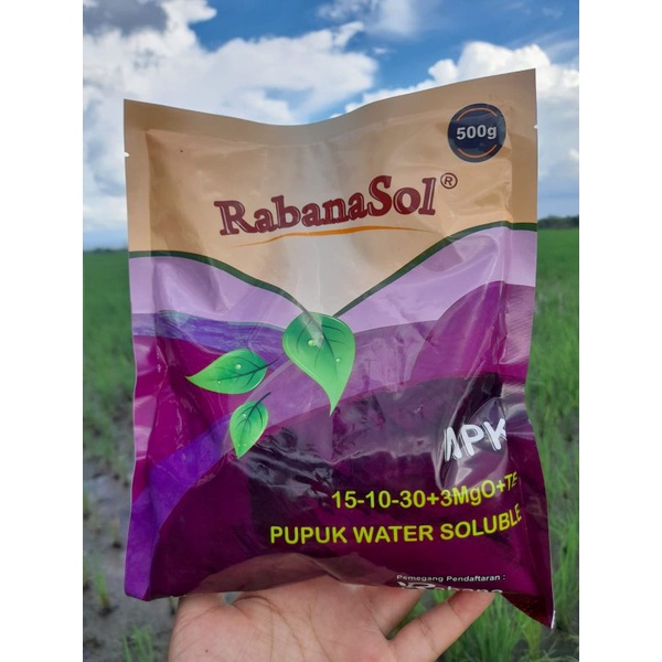 Pupuk Rabanasol NPK 15-10-30+3MgoTE