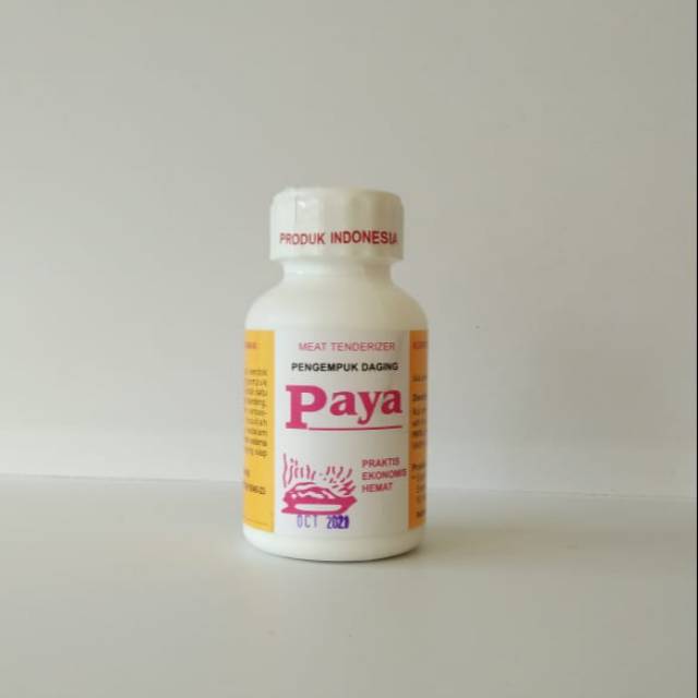 BUMBU PAYA Pengempuk Daging 70 g